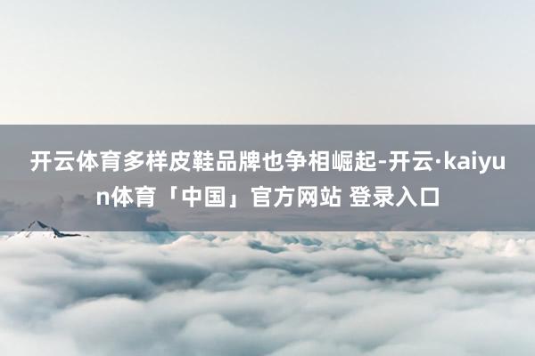 开云体育多样皮鞋品牌也争相崛起-开云·kaiyun体育「中国」官方网站 登录入口