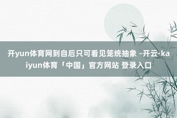 开yun体育网到自后只可看见笼统抽象 -开云·kaiyun体育「中国」官方网站 登录入口